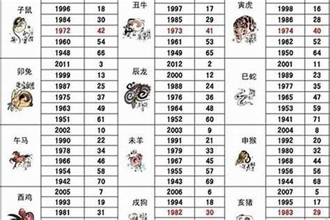 1982 狗 五行|1982年属狗人五行属什么 水狗之命向往自由